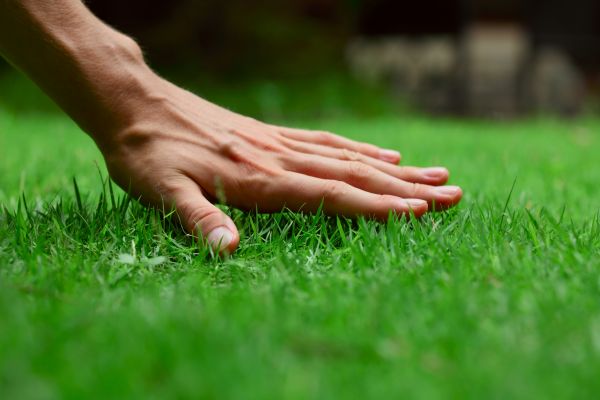 Bradenton Lawn Treatment