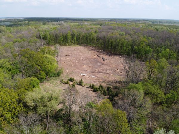 Bradenton Land Clearing